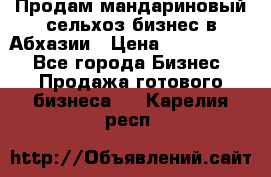 Продам мандариновый сельхоз-бизнес в Абхазии › Цена ­ 1 000 000 - Все города Бизнес » Продажа готового бизнеса   . Карелия респ.